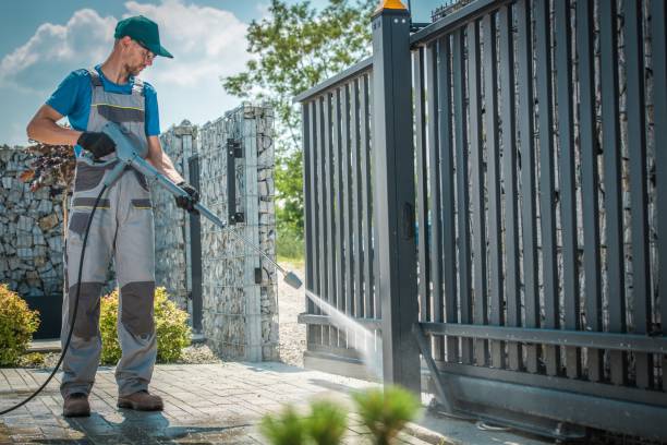 Best Solar Panel Cleaning  in Madison, NE